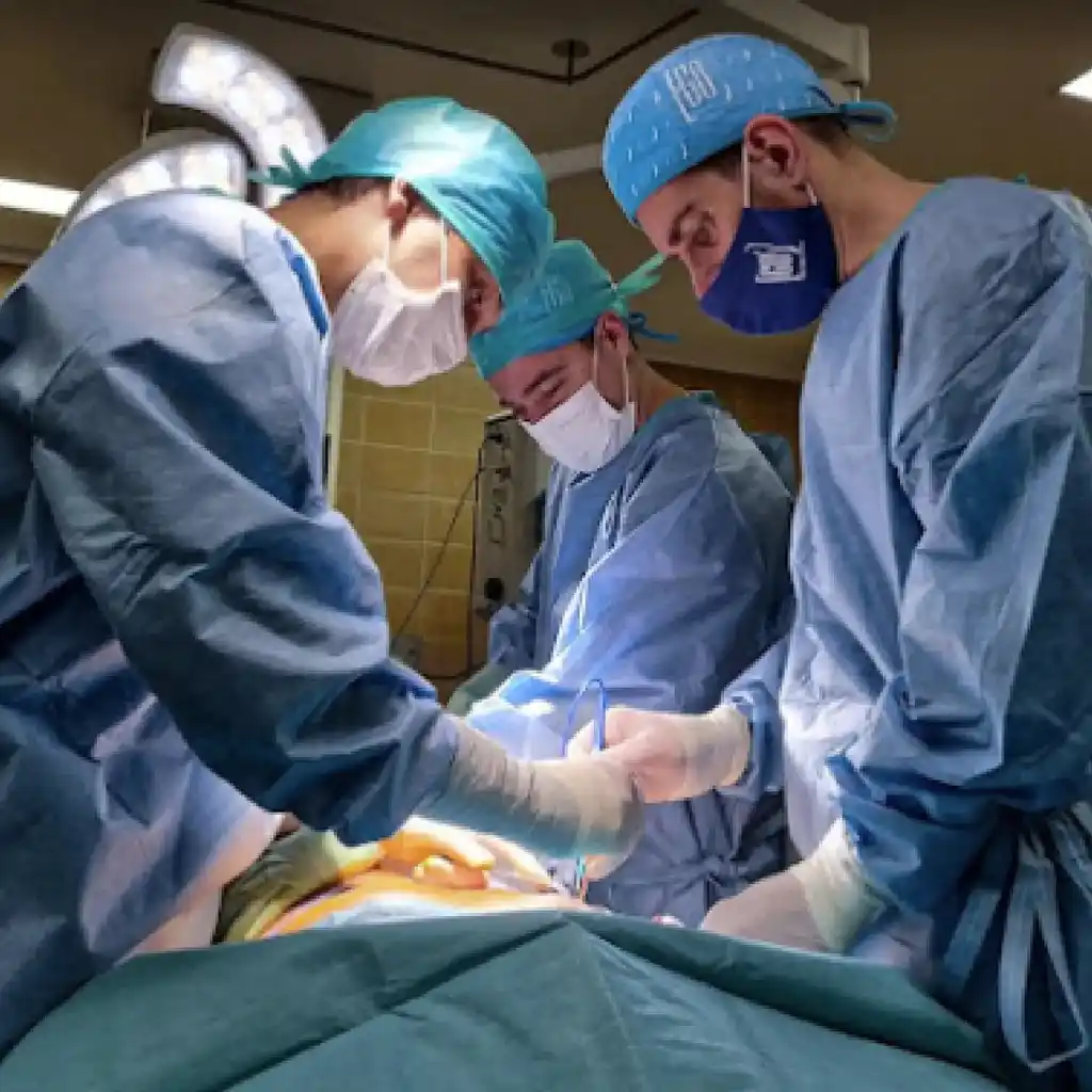 Nuestros profesionales están en Clínica de cirugía plástica en Terrassa | Clínica EGOS