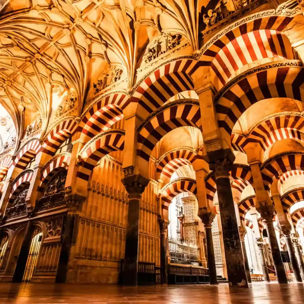 Clínica de cirugía plástica en Córdoba | Clínica EGOS